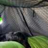 Thermo inner tent