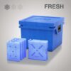 Qool Box L Fresh - Blå